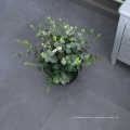 Baolin  Hot Sale Best Quality Luxury Floor Tiles